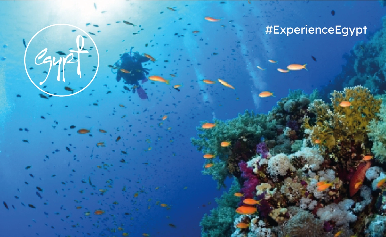 Sharm El Sheikh & İskenderiye & Kahire Turu