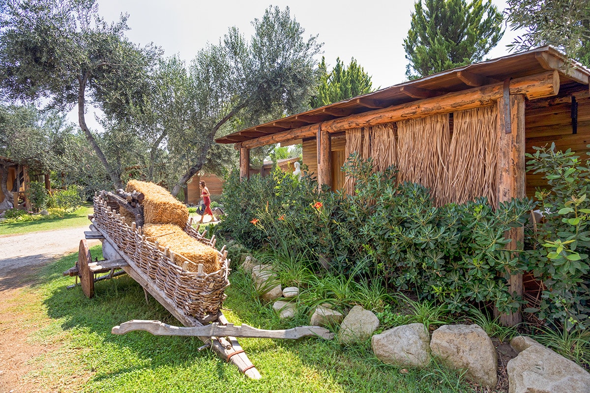 ISTYA KAMPTA ILE ASSOS'TA BIRLIKTE